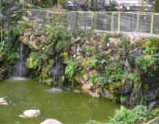 מיחזור מים בפארק אוטופיה